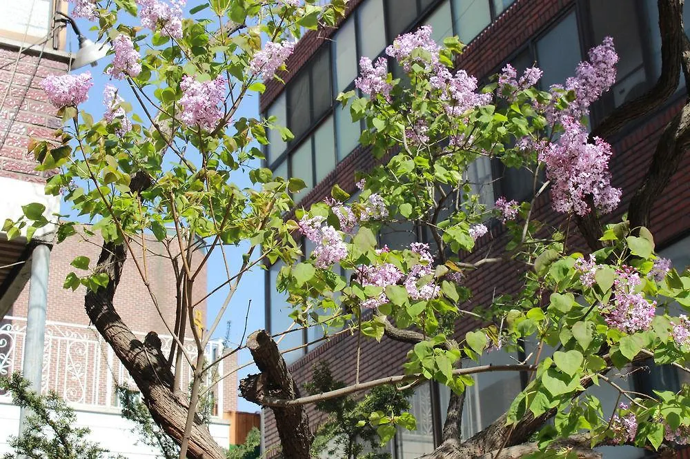 Apartment 일요스테이 Ilyo Stay Seoul